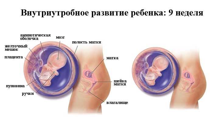Когда стоит беспокоиться о недостатке движения