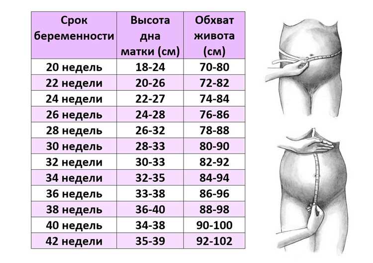 Как Ппв влияет на процесс зачатия