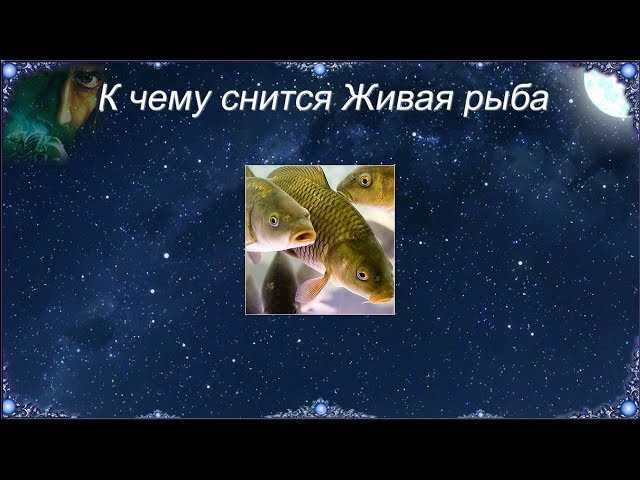 Толкование сна о рыбных образах в различных культурах
