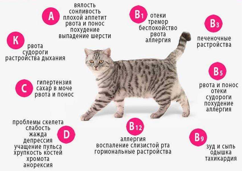 Популярные