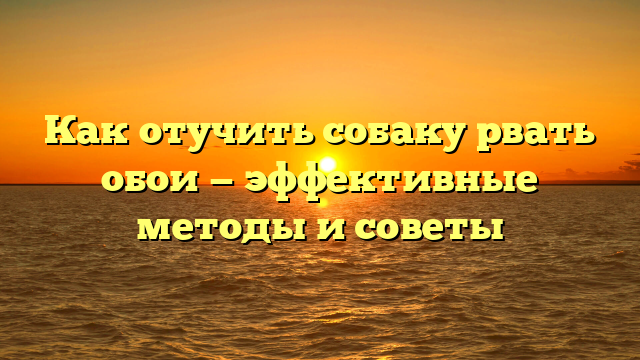 Как отучить собаку рвать обои — эффективные методы и советы