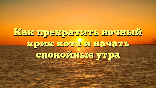 Как прекратить ночный крик кота и начать спокойные утра