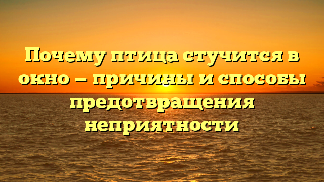 Почему птица стучится в окно — причины и способы предотвращения неприятности