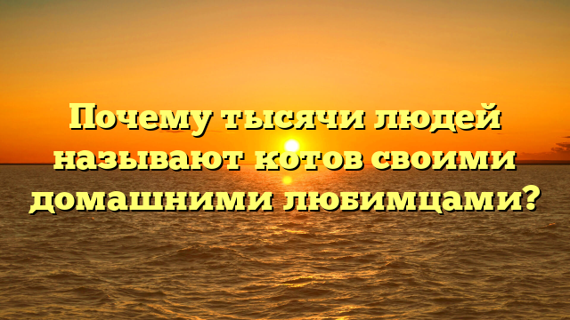 Почему тысячи людей называют котов своими домашними любимцами?