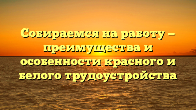 Собираемся на работу — преимущества и особенности красного и белого трудоустройства