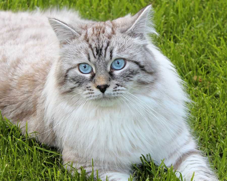 Мнения