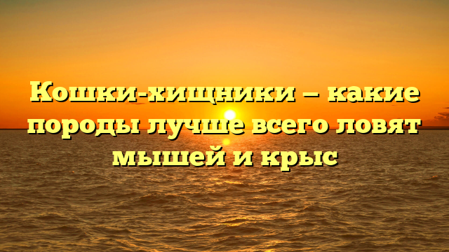Кошки-хищники — какие породы лучше всего ловят мышей и крыс